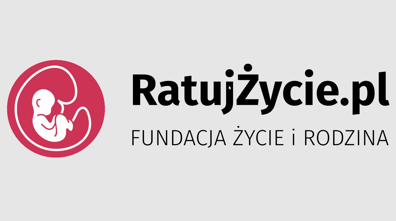 Wolontariat w fundacji pro life - jak wygląda i kto może się zaangażować?