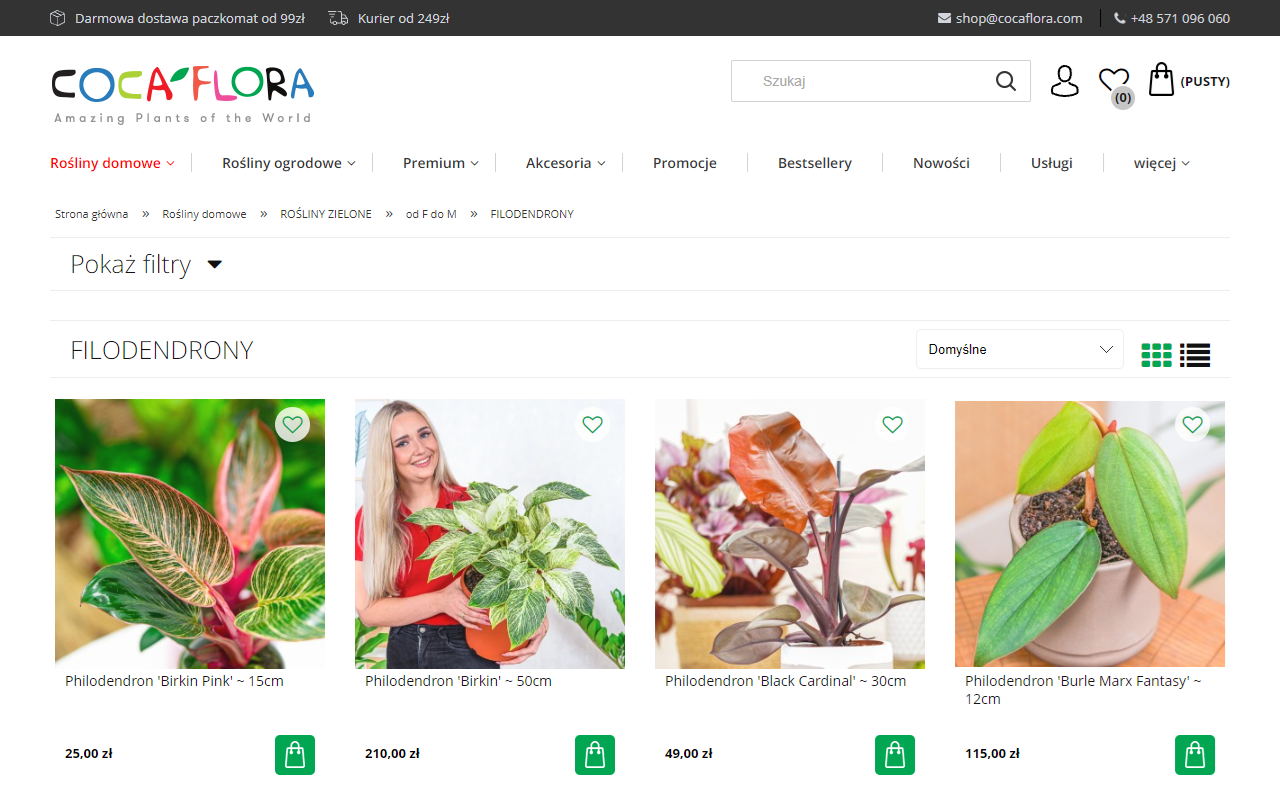 Filodendrony pnące czy stojące – które wybrać i dlaczego?
